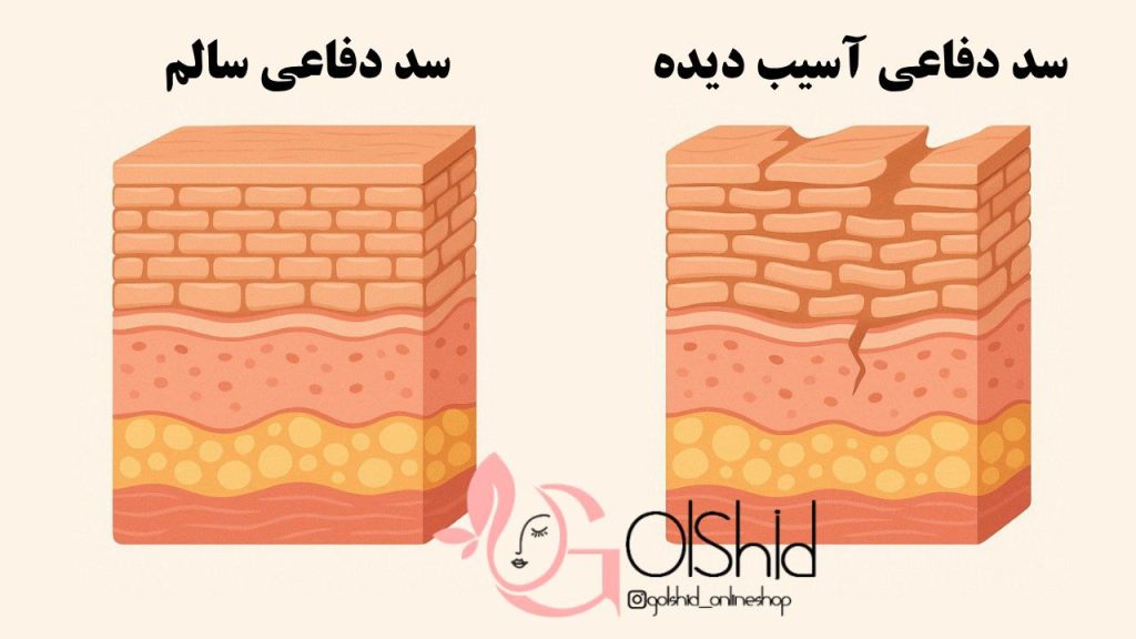 تقویت سد دفاعی پوست با محصولات تراست